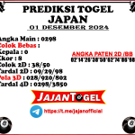 PREDIKSI JAPAN 01 DESEMBER 2024