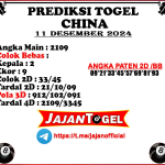 PREDIKSI CHINA 11 DESEMBER 2024