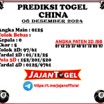 PREDIKSI CHINA 08 DESEMBER 2024